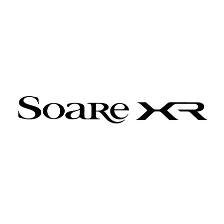 Soare XR 21'